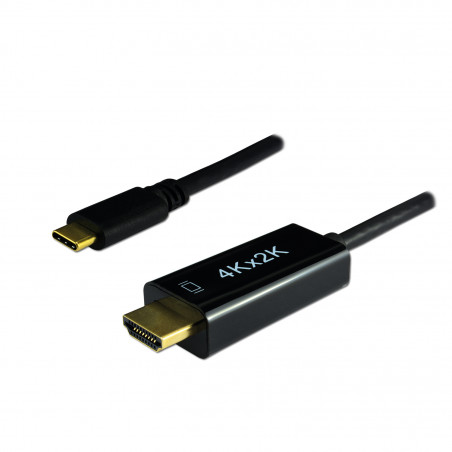 Câble convertisseur type C / HDMI 1.4 mâle - 1,80m