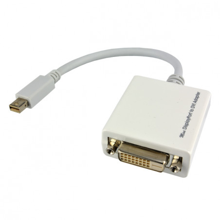 Convertisseur mini DisplayPort mâle / DVI femelle