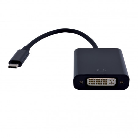 Convertisseur USB type C / DVI-D femelle - 20cm