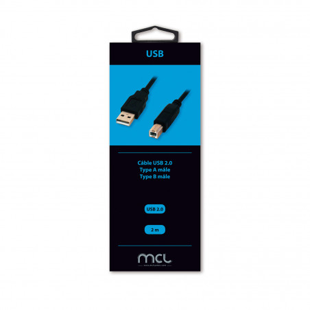 Câble USB 2.0 Type A mâle/Type B mâle Noir ColorBox