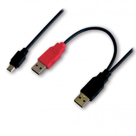 Câble double USB type A mâle (Alim + Data) / mini B 5 brs mâle - 1m